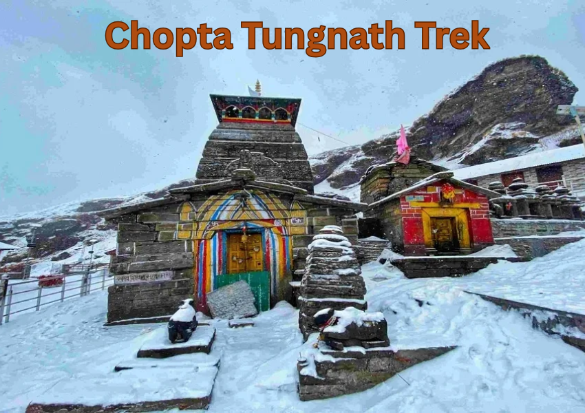 Chopta Tungnath Trek: Uplifting Himalayan Escape