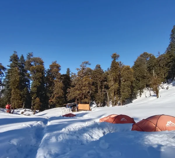 Kedarkantha Trek