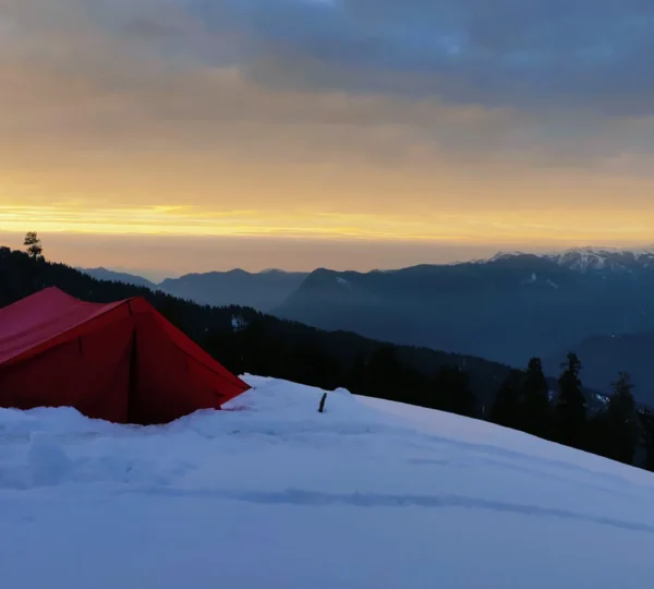 Snow Paradise