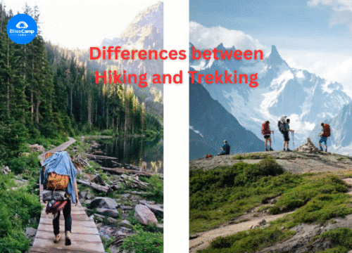 Essential Difference Between Hiking and Trekking