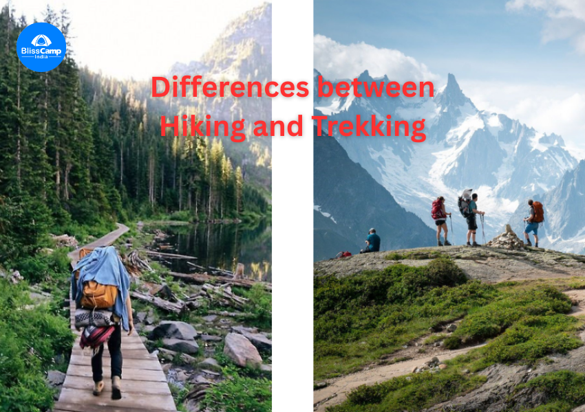 Essential Difference Between Hiking and Trekking