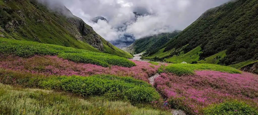 Valley of Flowers Trek Difficulty