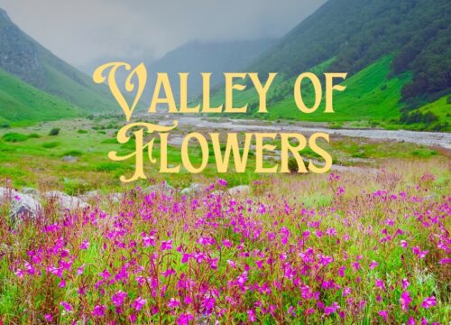 Valley of Flowers Trek Difficulty: 2025