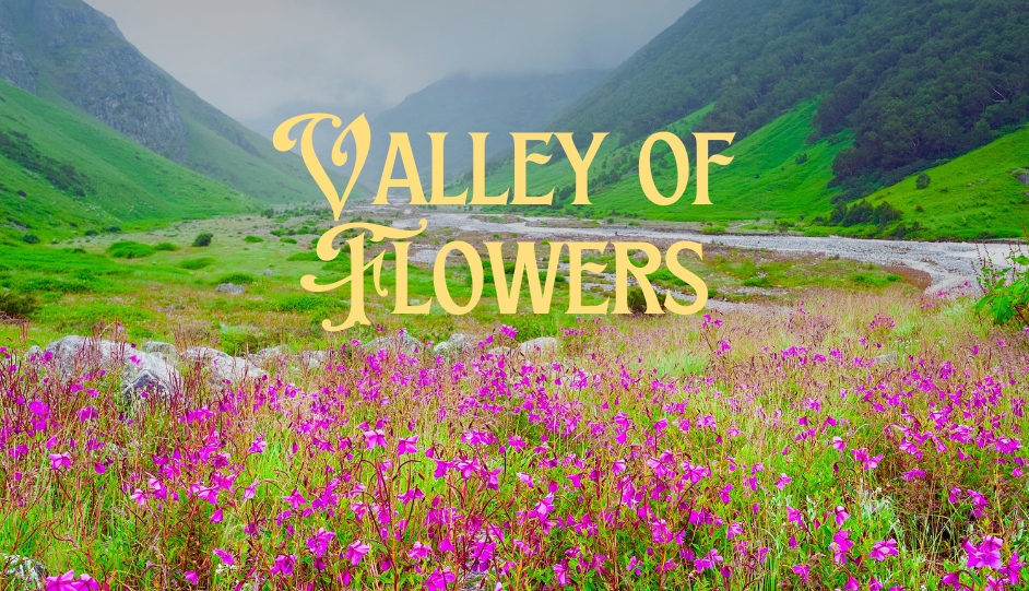 Valley of Flowers Trek Difficulty: 2025