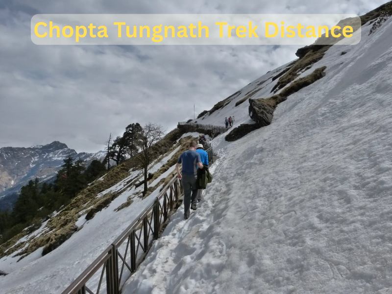 Chopta Tungnath Trek Distance