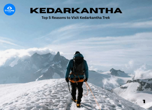 Top 5 Reasons to Visit Kedarkantha Trek in Uttarakhand